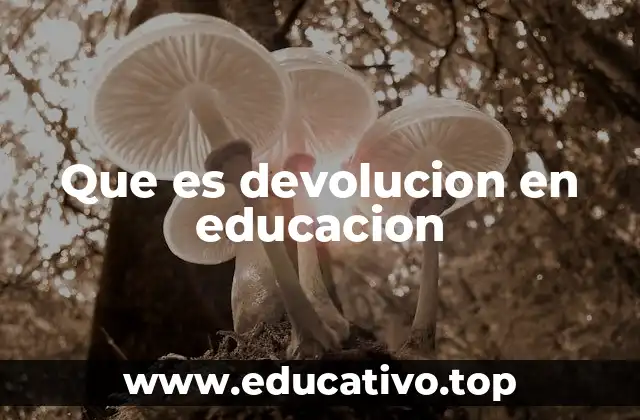 Que es devolucion en educacion
