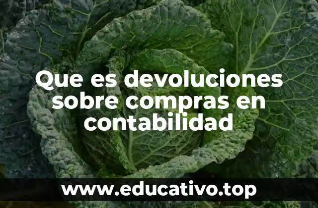 Que es devoluciones sobre compras en contabilidad
