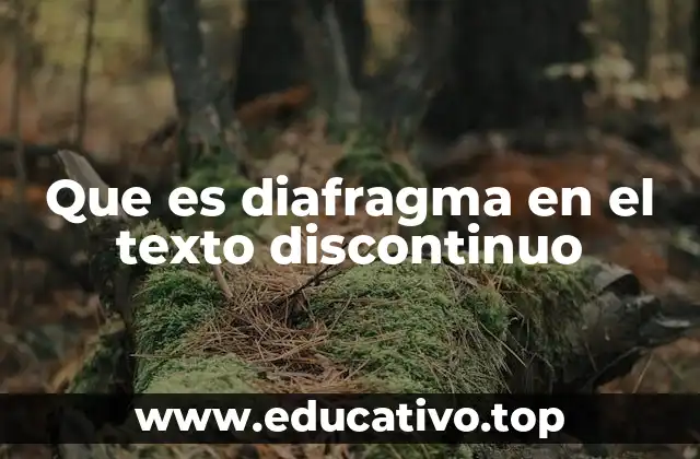 Que es diafragma en el texto discontinuo