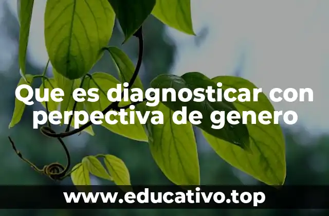 Que es diagnosticar con perpectiva de genero