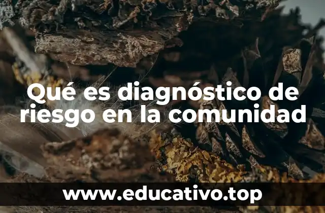 Qué es diagnóstico de riesgo en la comunidad