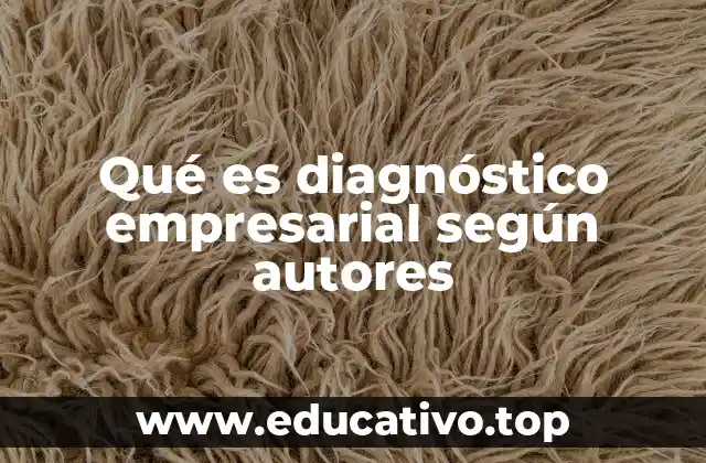 Qué es diagnóstico empresarial según autores