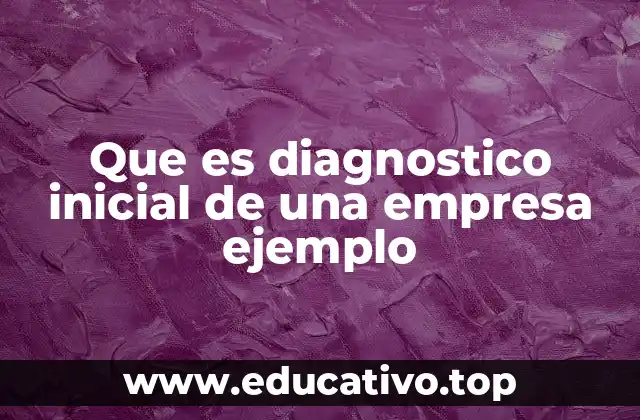 Que es diagnostico inicial de una empresa ejemplo