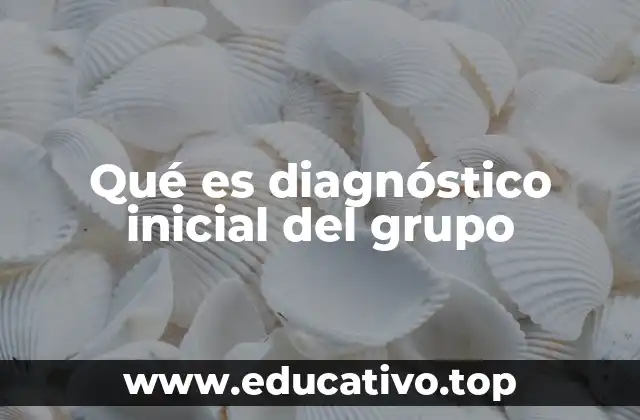 Qué es diagnóstico inicial del grupo