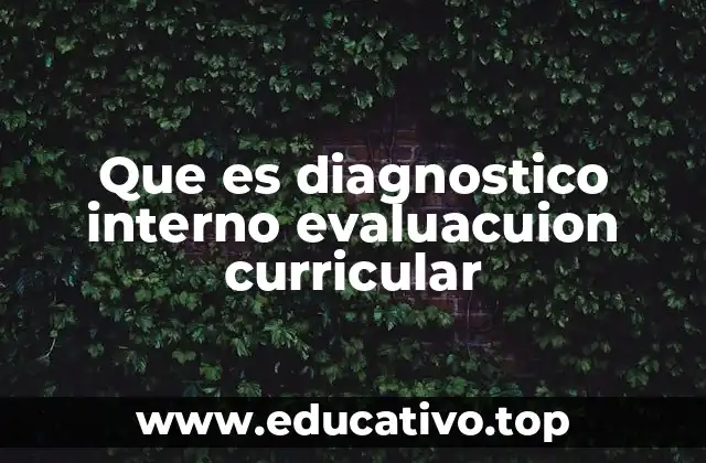 Que es diagnostico interno evaluacuion curricular