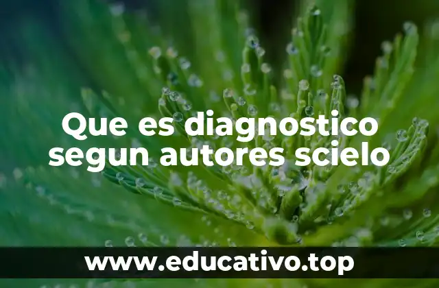 Que es diagnostico segun autores scielo