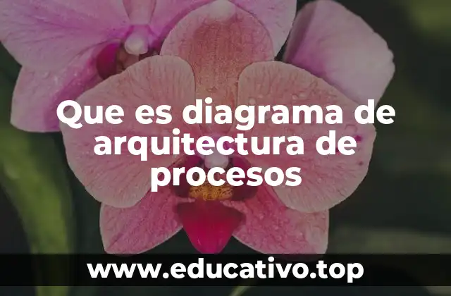 Que es diagrama de arquitectura de procesos
