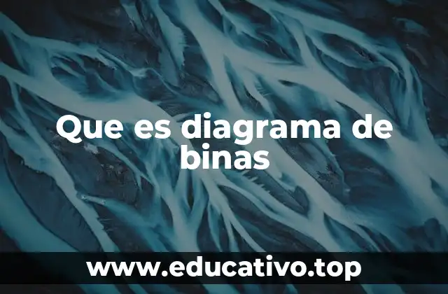 El uso del diagrama de binas en la educación