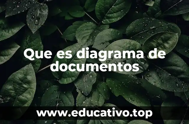 Que es diagrama de documentos