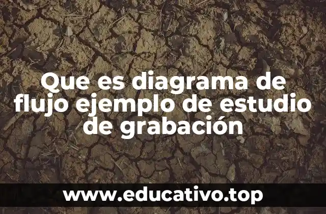 Que es diagrama de flujo ejemplo de estudio de grabación