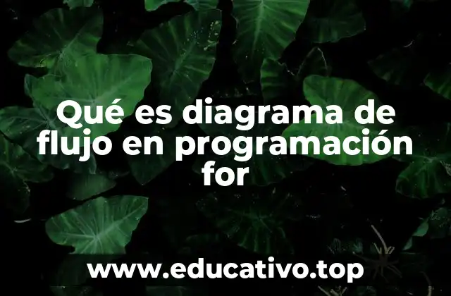 Qué es diagrama de flujo en programación for