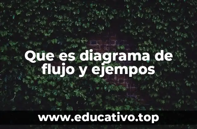 Que es diagrama de flujo y ejempos