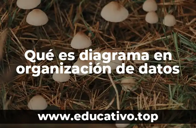 La importancia de visualizar la estructura de los datos