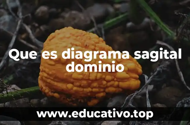 Que es diagrama sagital dominio