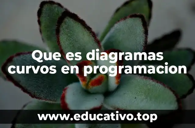 La importancia de las representaciones visuales en la programación