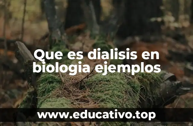 Que es dialisis en biologia ejemplos