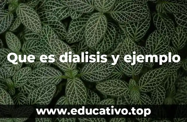 Cómo funciona la diálisis y qué elementos la componen