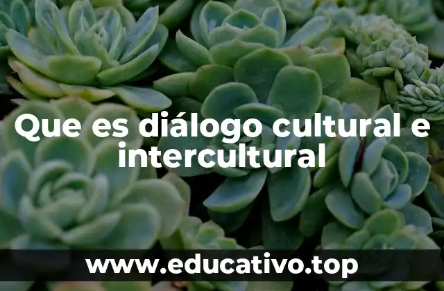 Que es diálogo cultural e intercultural