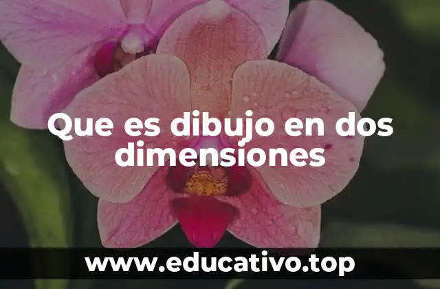 Que es dibujo en dos dimensiones