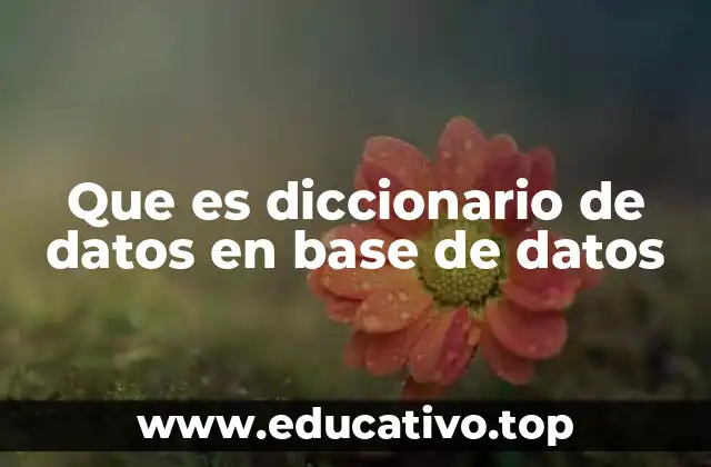 Que es diccionario de datos en base de datos