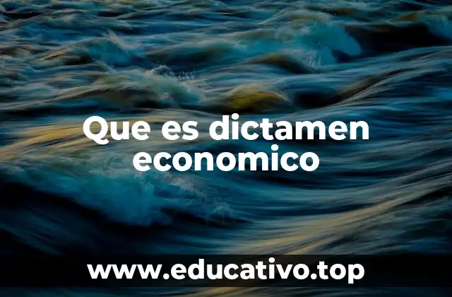 Que es dictamen economico