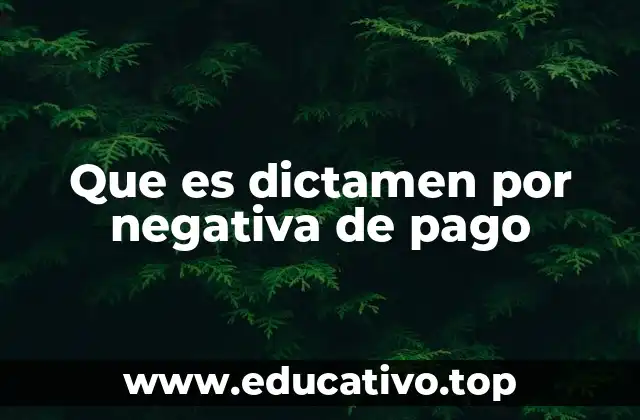 Que es dictamen por negativa de pago
