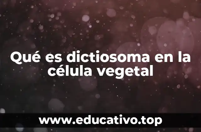 Qué es dictiosoma en la célula vegetal