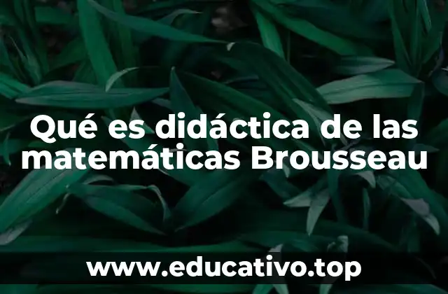 Qué es didáctica de las matemáticas Brousseau