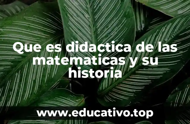 Que es didactica de las matematicas y su historia