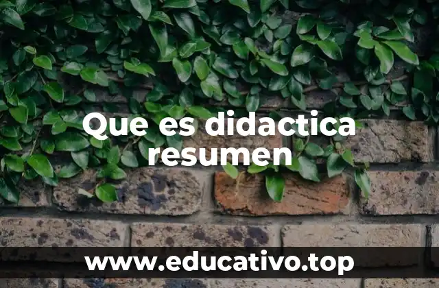 Que es didactica resumen