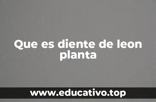 Que es diente de leon planta