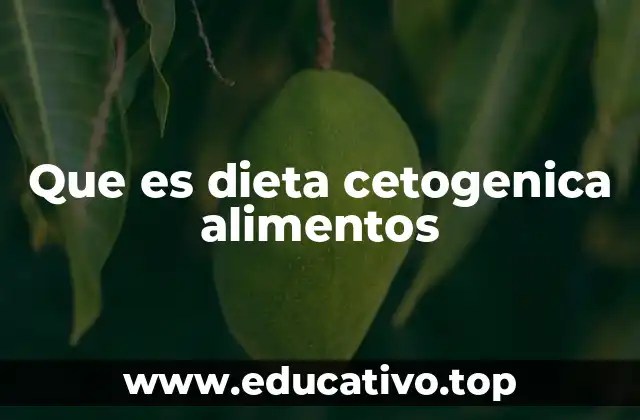 Que es dieta cetogenica alimentos