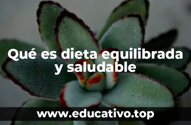 Qué es dieta equilibrada y saludable