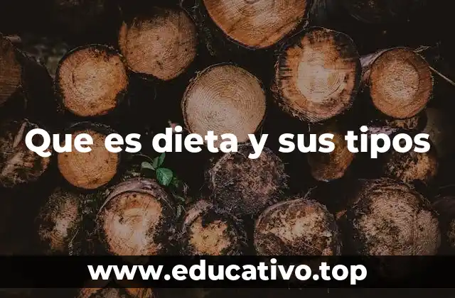 Que es dieta y sus tipos