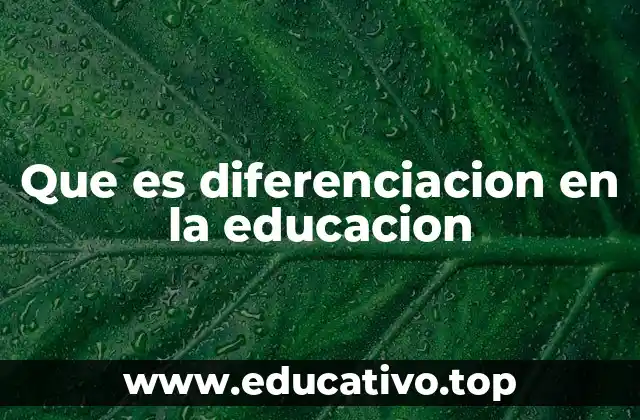 Que es diferenciacion en la educacion