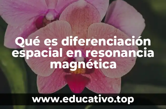 Qué es diferenciación espacial en resonancia magnética