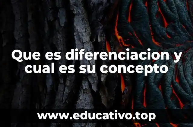 Cómo la diferenciación estructura la base de la diversidad