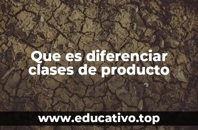 La importancia de organizar productos por categorías