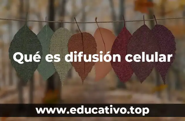 Qué es difusión celular