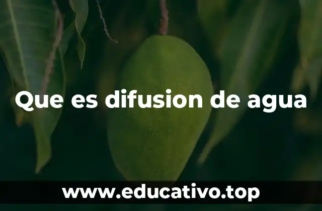 Que es difusion de agua