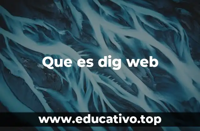 Que es dig web