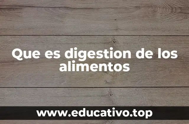 Que es digestion de los alimentos