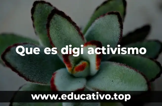 Que es digi activismo