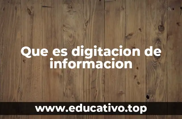 Que es digitacion de informacion