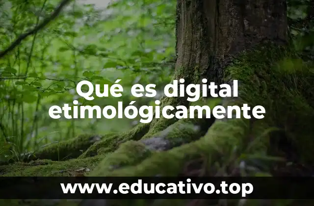 El paso del latín al uso moderno