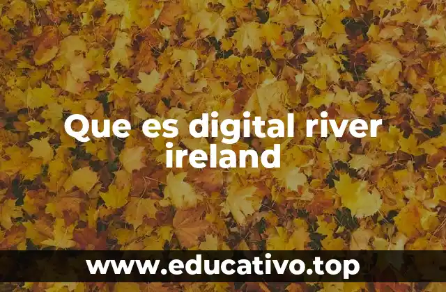El papel de Digital River en el ecosistema digital global