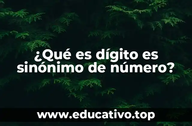 ¿Qué es dígito es sinónimo de número?