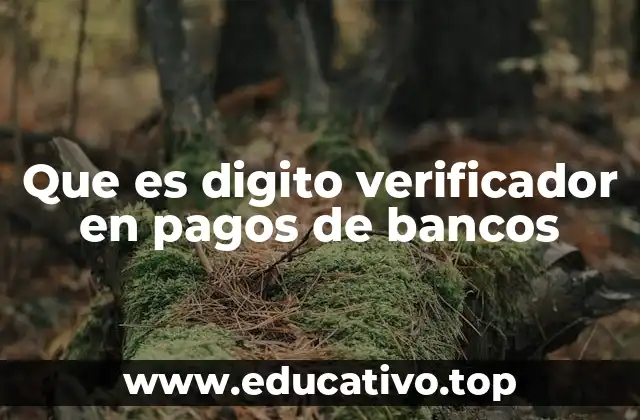 Que es digito verificador en pagos de bancos