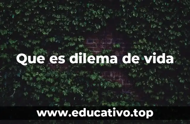 Que es dilema de vida