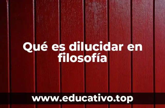 Qué es dilucidar en filosofía